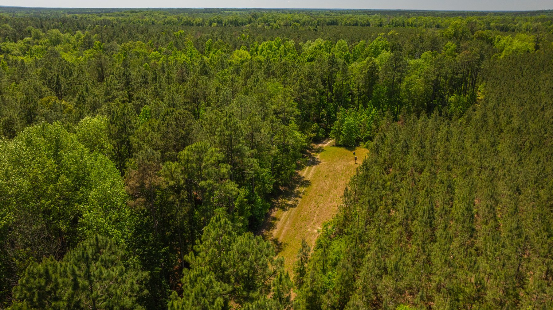 Image for Coffee Plantation - 725± Acres - Dodge County, Georgia - Premier Recreational, Timber & Investment Property - Offered Divided & As A Whole