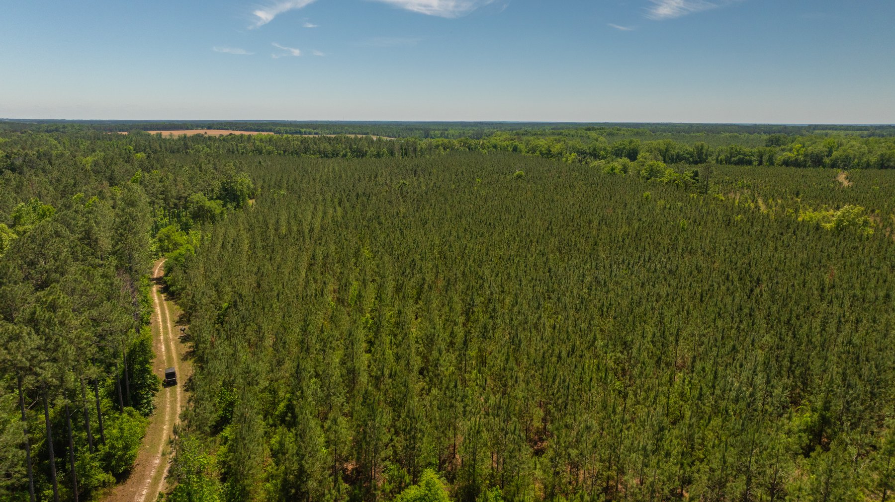 Image for Coffee Plantation - 725± Acres - Dodge County, Georgia - Premier Recreational, Timber & Investment Property - Offered Divided & As A Whole