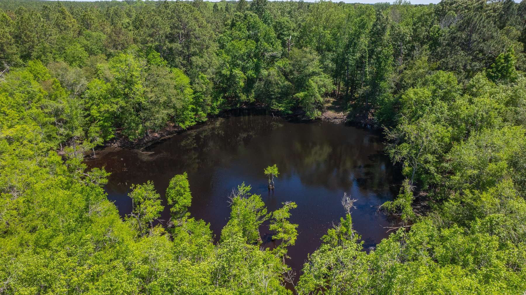Image for Coffee Plantation - 725± Acres - Dodge County, Georgia - Premier Recreational, Timber & Investment Property - Offered Divided & As A Whole