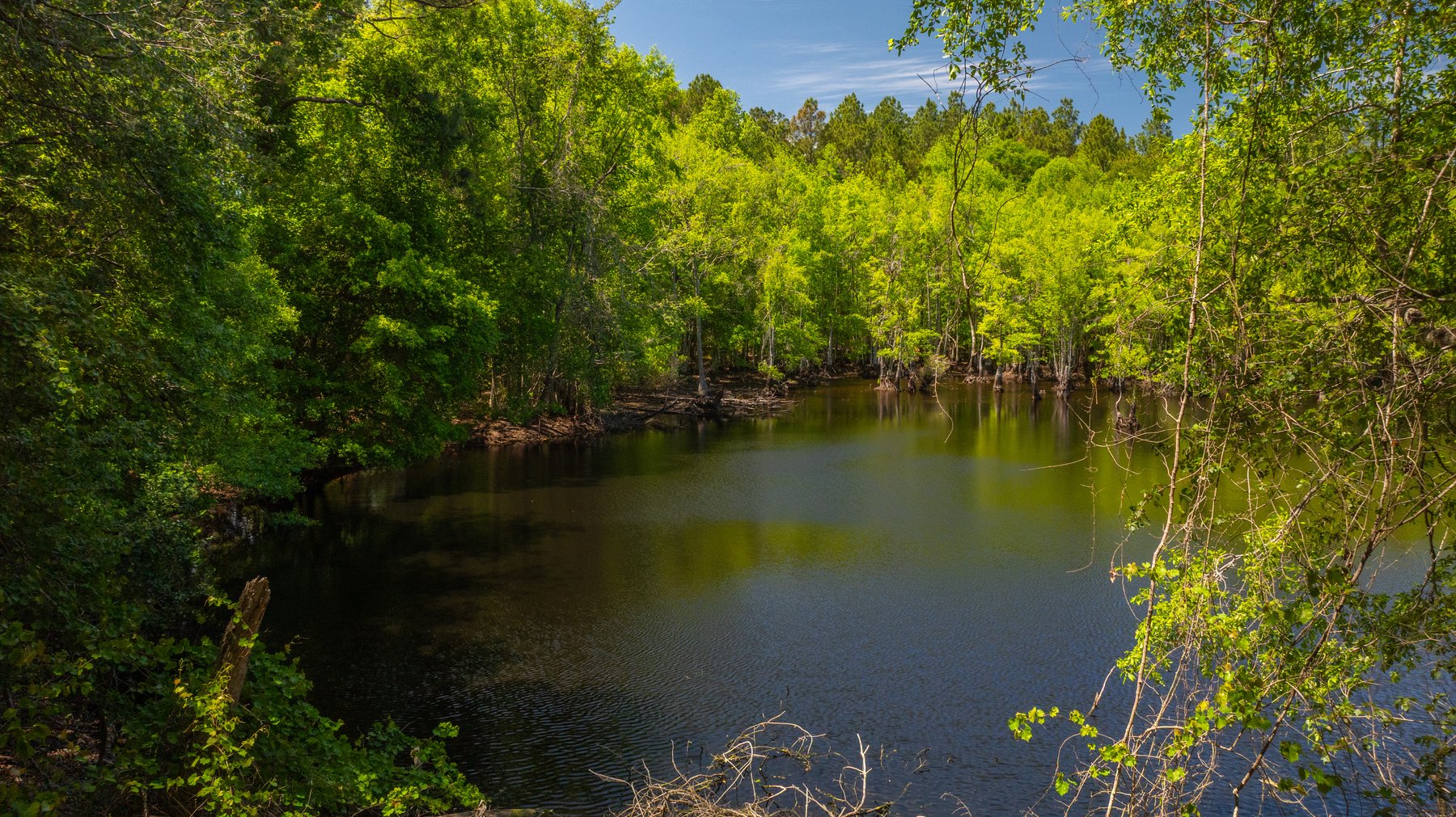 Image for Coffee Plantation - 725± Acres - Dodge County, Georgia - Premier Recreational, Timber & Investment Property - Offered Divided & As A Whole