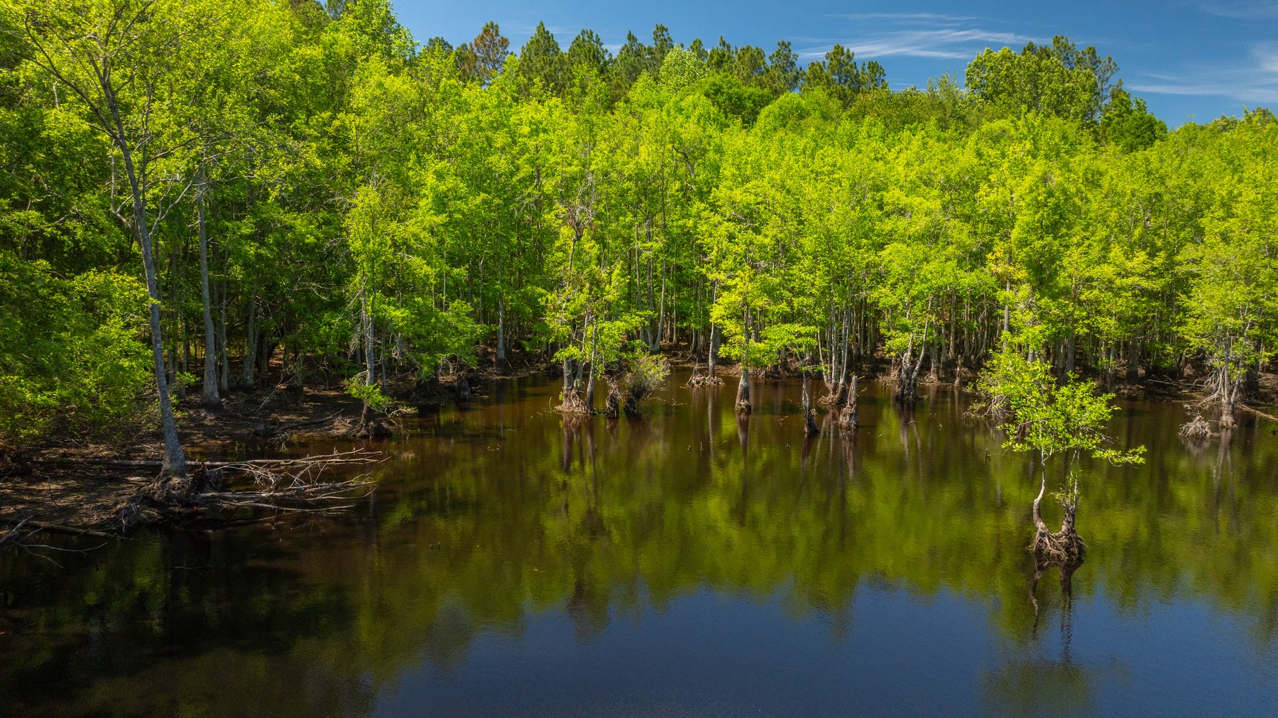 Image for Coffee Plantation - 725± Acres - Dodge County, Georgia - Premier Recreational, Timber & Investment Property - Offered Divided & As A Whole
