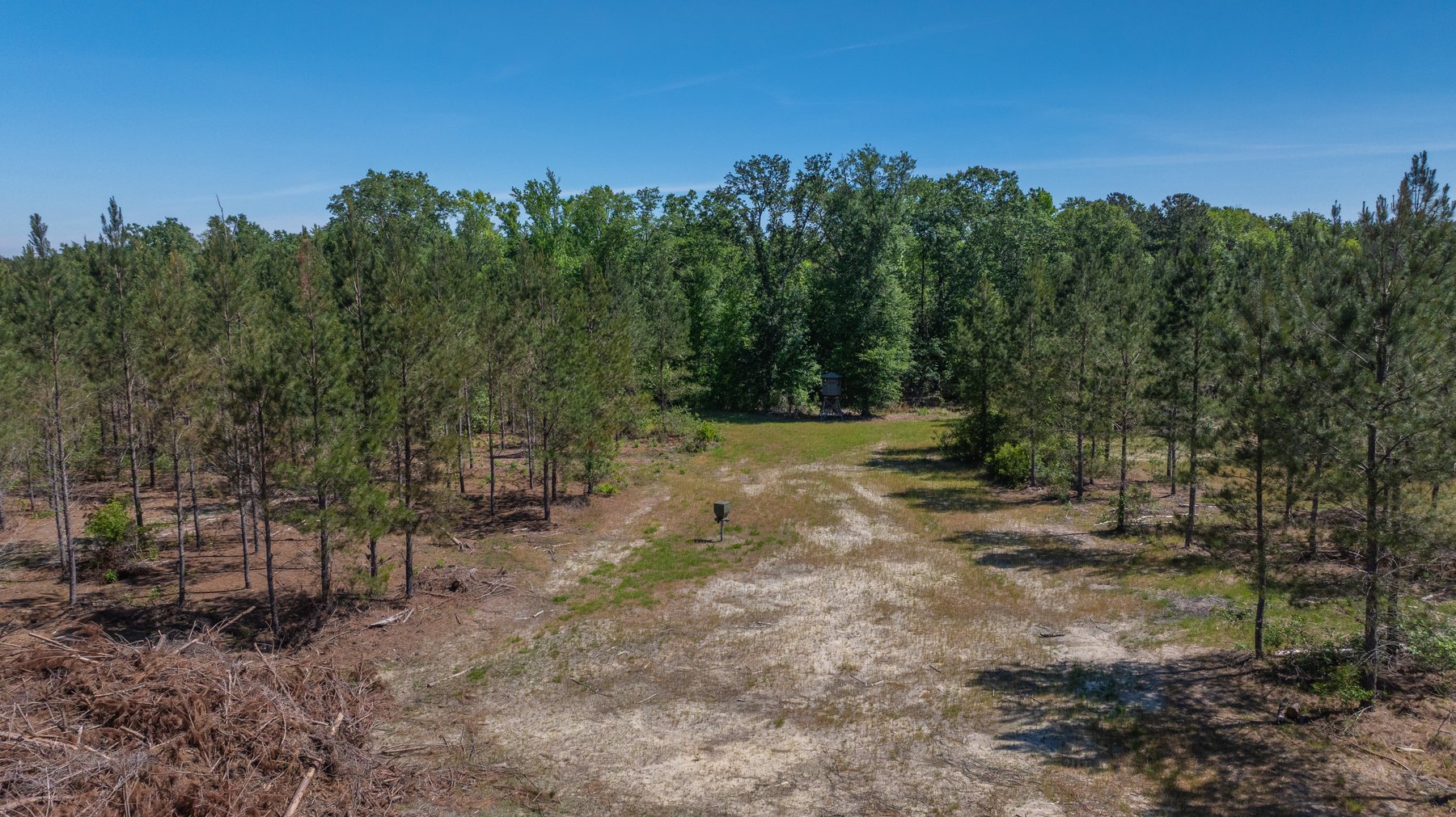 Image for Coffee Plantation - 725± Acres - Dodge County, Georgia - Premier Recreational, Timber & Investment Property - Offered Divided & As A Whole