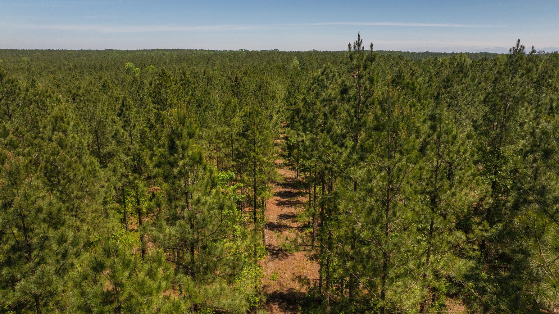 Image for Coffee Plantation - 725± Acres - Dodge County, Georgia - Premier Recreational, Timber & Investment Property - Offered Divided & As A Whole