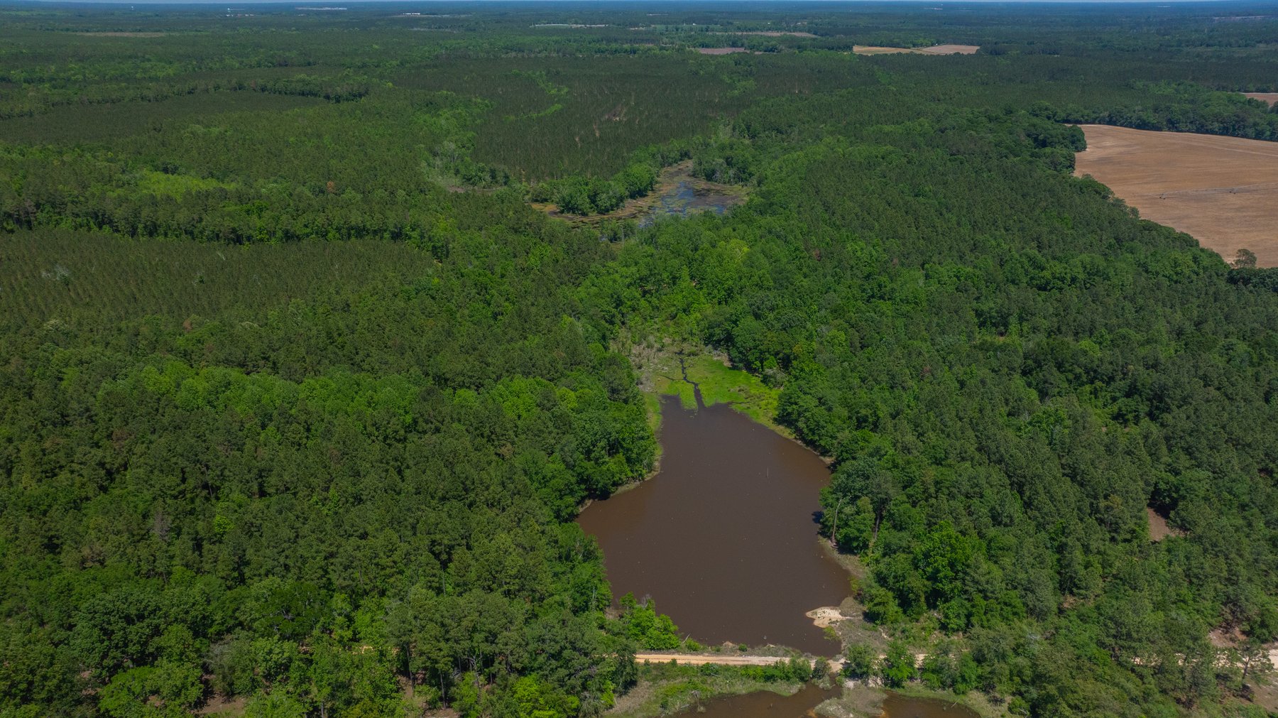 Image for Coffee Plantation - 725± Acres - Dodge County, Georgia - Premier Recreational, Timber & Investment Property - Offered Divided & As A Whole