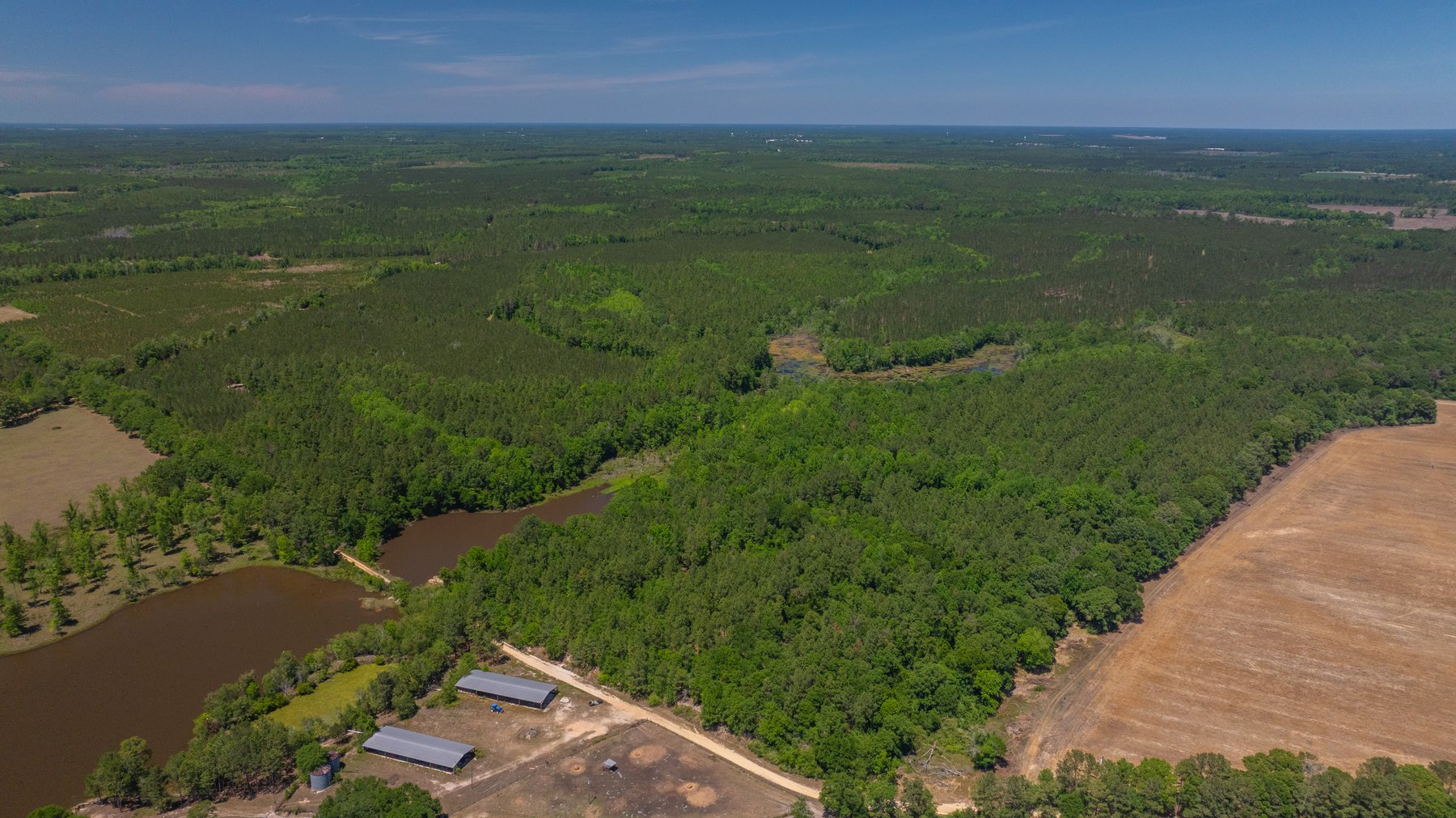 Image for Coffee Plantation - 725± Acres - Dodge County, Georgia - Premier Recreational, Timber & Investment Property - Offered Divided & As A Whole
