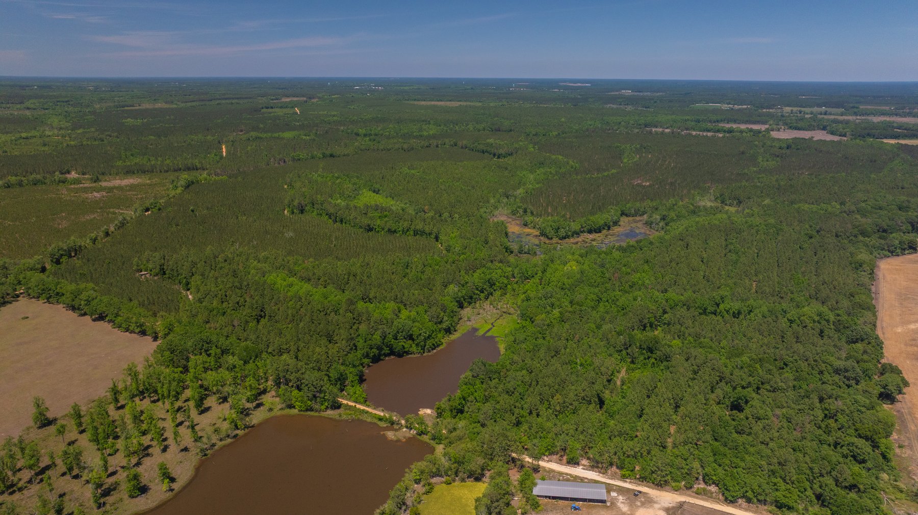 Image for Coffee Plantation - 725± Acres - Dodge County, Georgia - Premier Recreational, Timber & Investment Property - Offered Divided & As A Whole