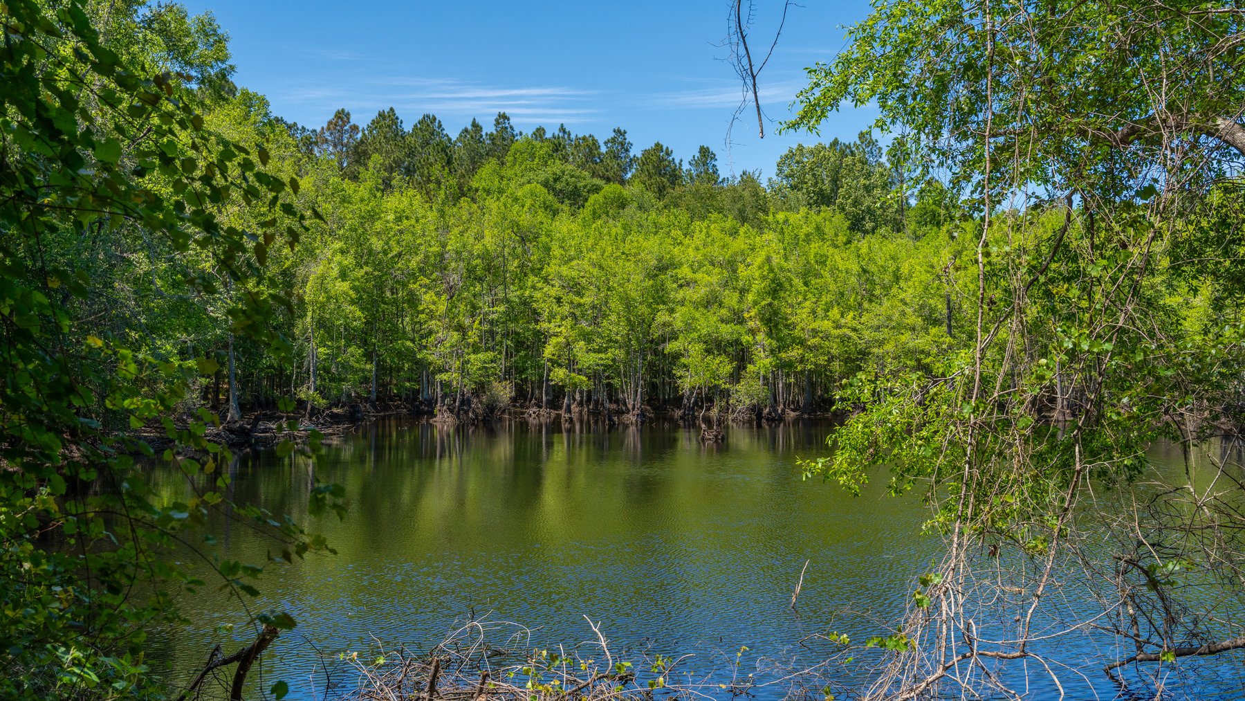 Image for Coffee Plantation - 725± Acres - Dodge County, Georgia - Premier Recreational, Timber & Investment Property - Offered Divided & As A Whole
