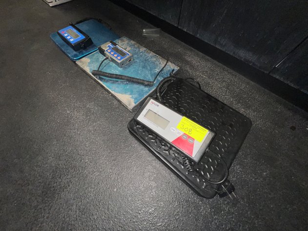 Image for (3) Floor Scales