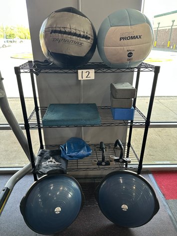Image for Metal Wire Rack w/ Assorted Strength Training Accessories - Slam Balls, Balance Trainers, Exercise Ball, Push Up Handles 