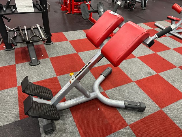 Image for MATRIX MG-A93 Back Extension Bench