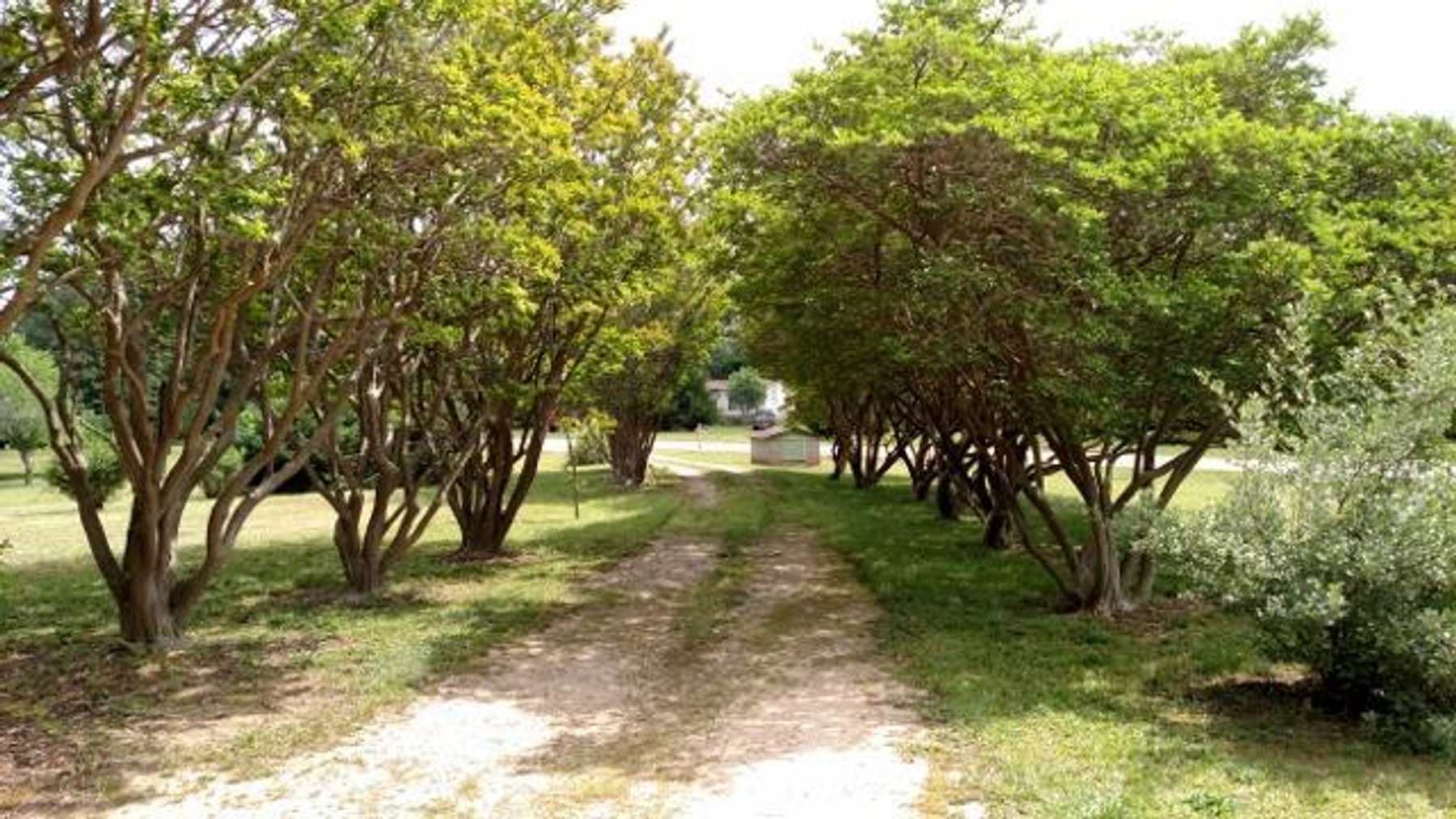 Image for 2 Homes on 2.3+/- Acres in LaGrange