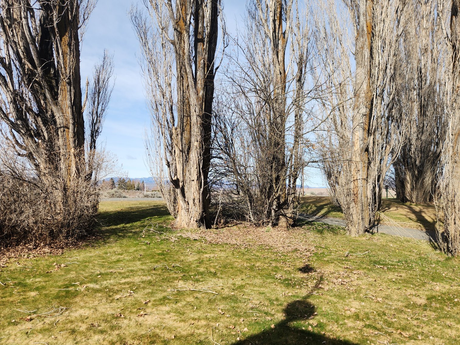 Image for 8831 & 8851 Naches Heights Rd., Cowiche, WA 98923 (Yakima County)