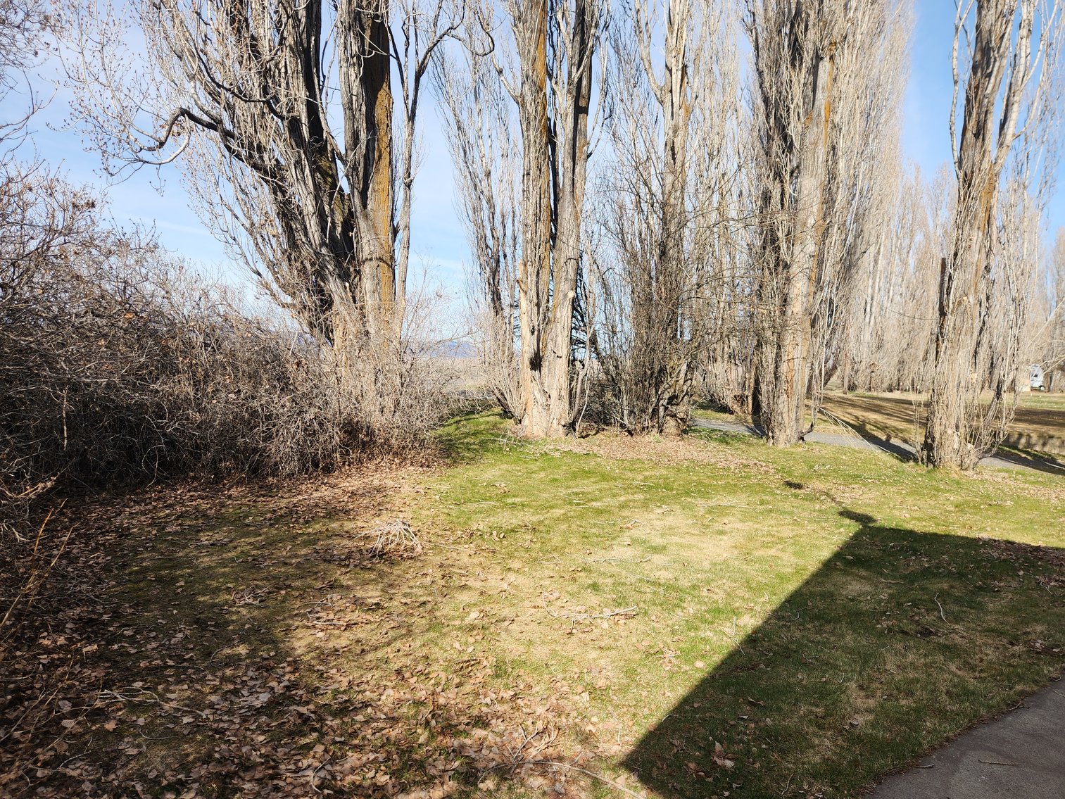 Image for 8831 & 8851 Naches Heights Rd., Cowiche, WA 98923 (Yakima County)