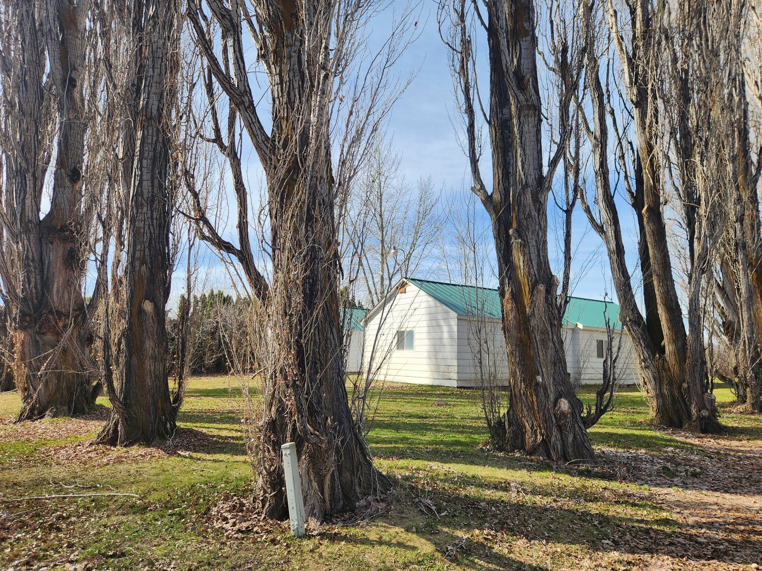 Image for 8831 & 8851 Naches Heights Rd., Cowiche, WA 98923 (Yakima County)