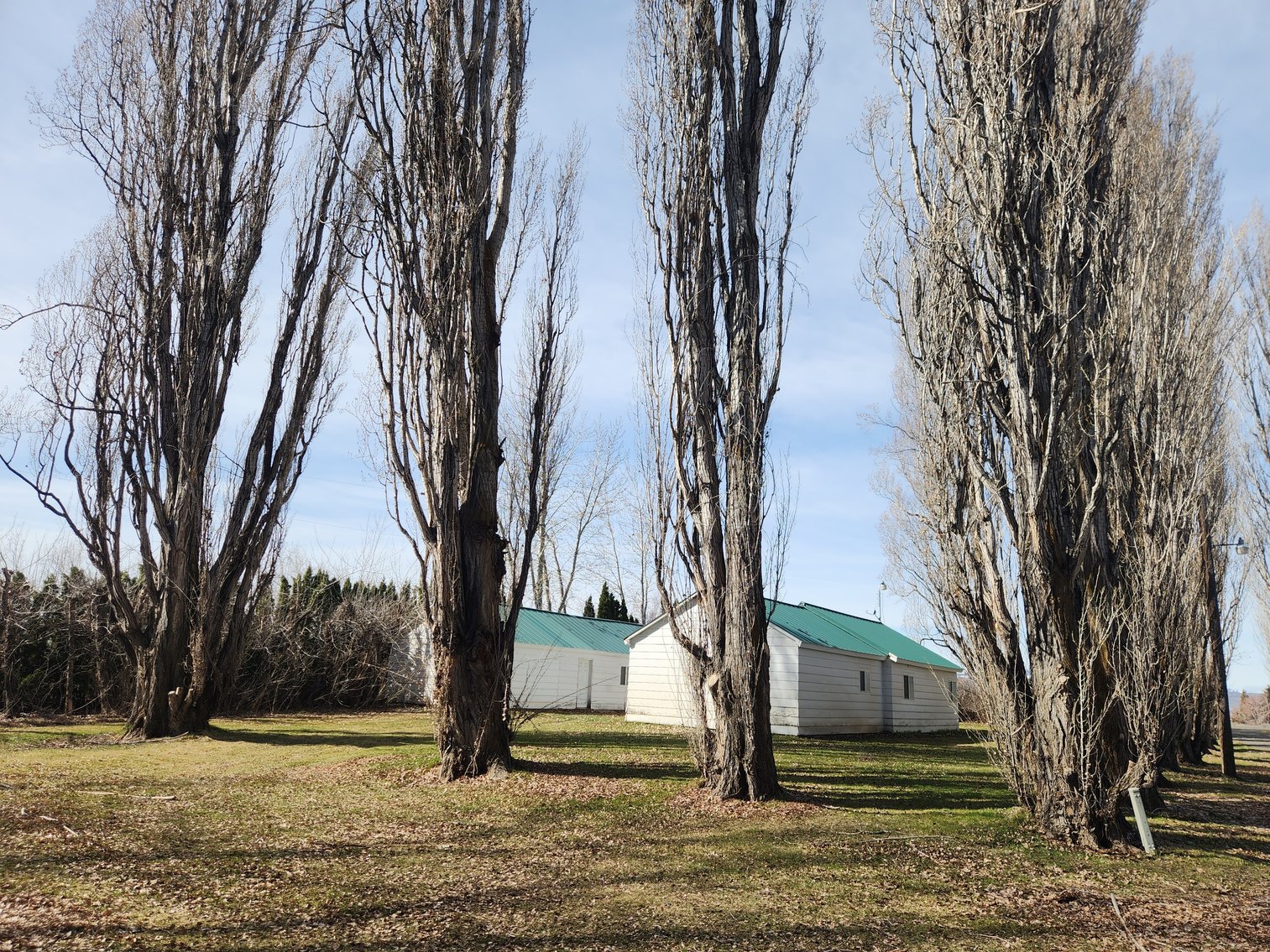 Image for 8831 & 8851 Naches Heights Rd., Cowiche, WA 98923 (Yakima County)