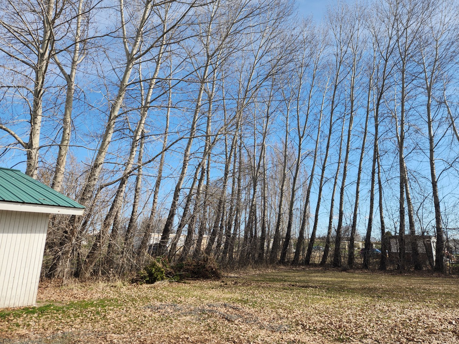 Image for 8831 & 8851 Naches Heights Rd., Cowiche, WA 98923 (Yakima County)