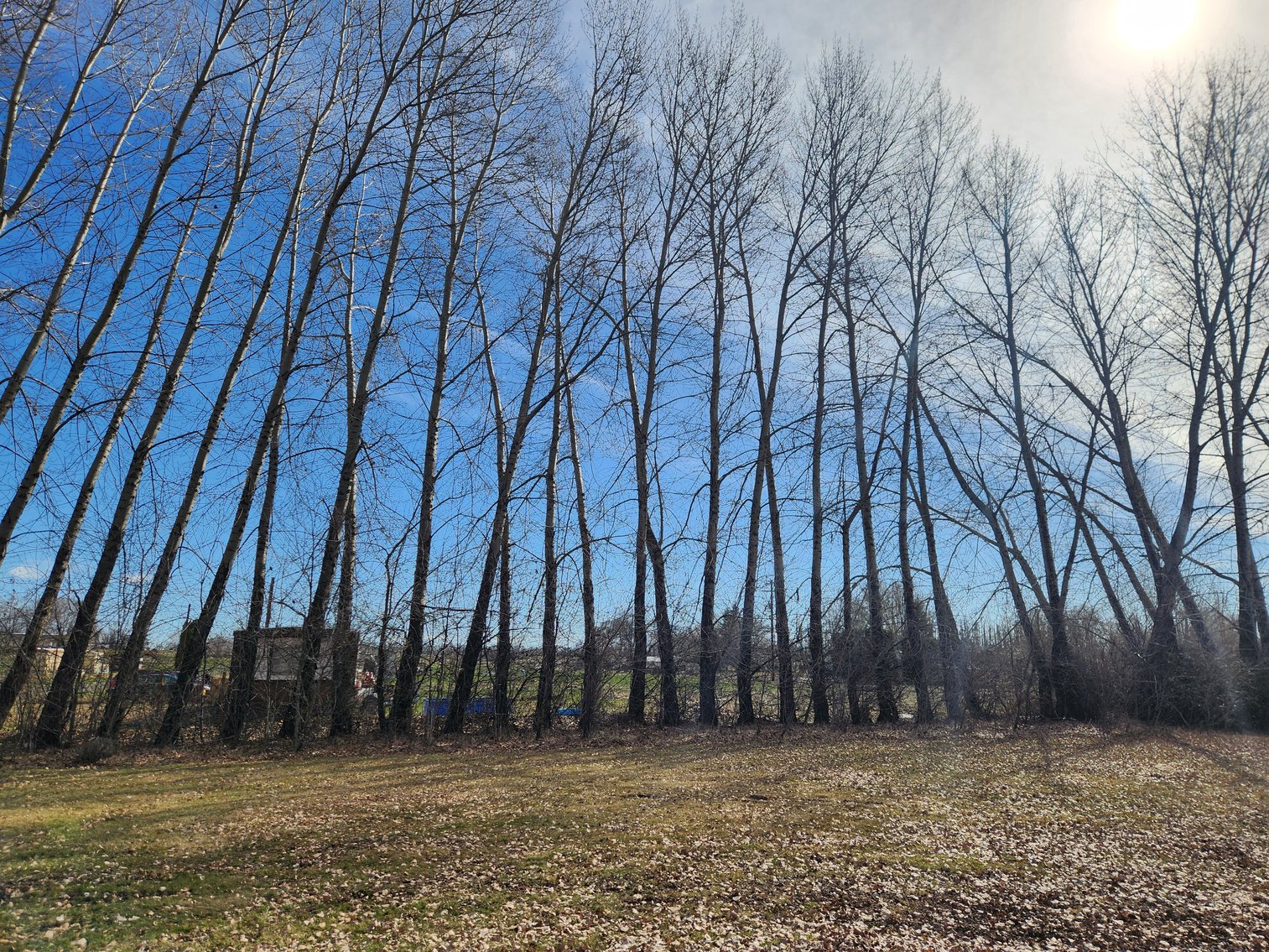 Image for 8831 & 8851 Naches Heights Rd., Cowiche, WA 98923 (Yakima County)