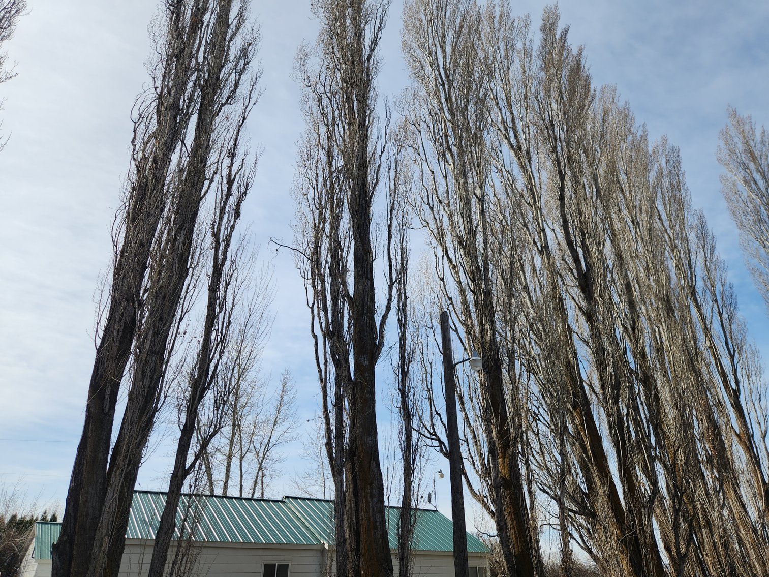 Image for 8831 & 8851 Naches Heights Rd., Cowiche, WA 98923 (Yakima County)