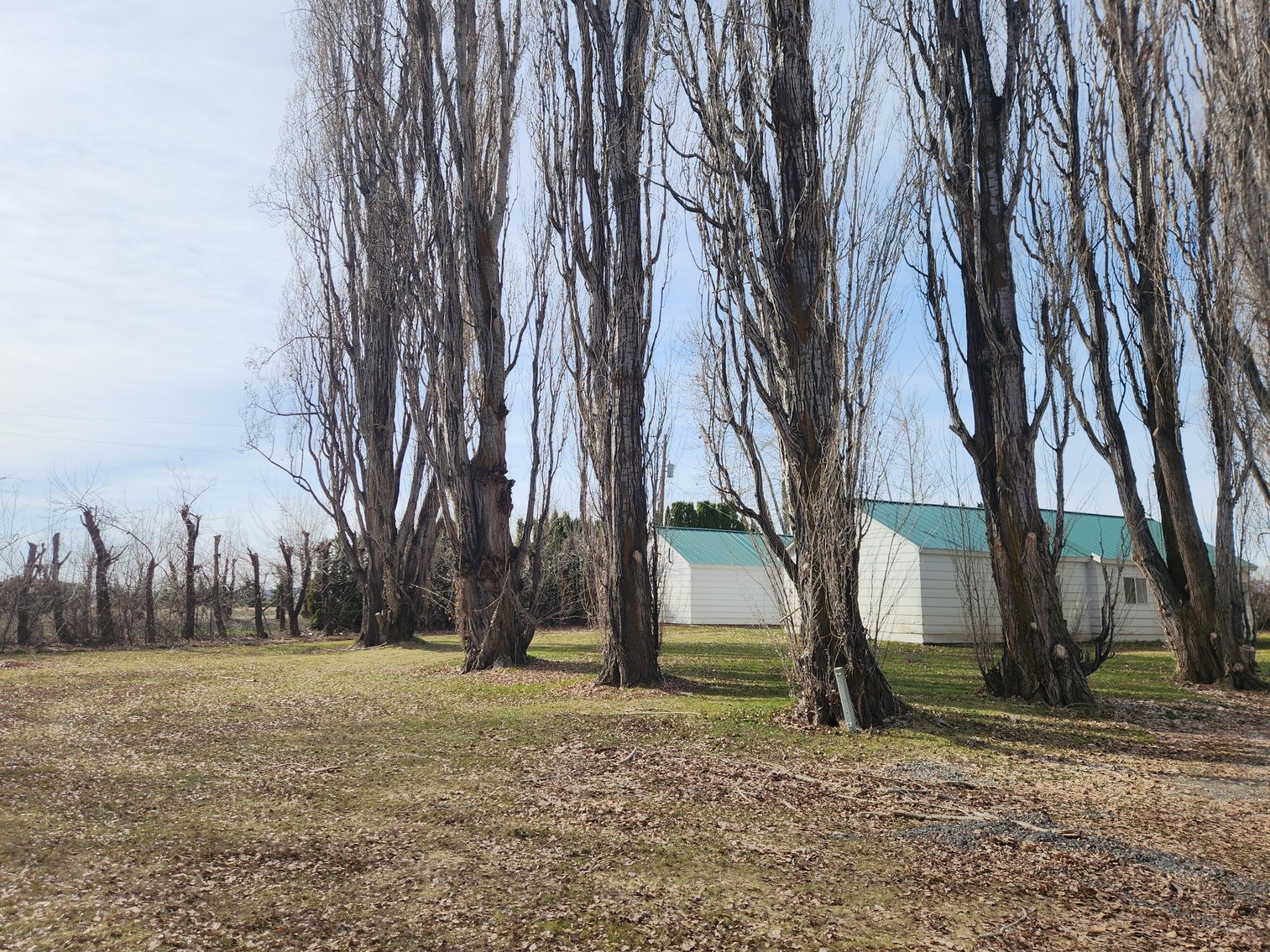 Image for 8831 & 8851 Naches Heights Rd., Cowiche, WA 98923 (Yakima County)