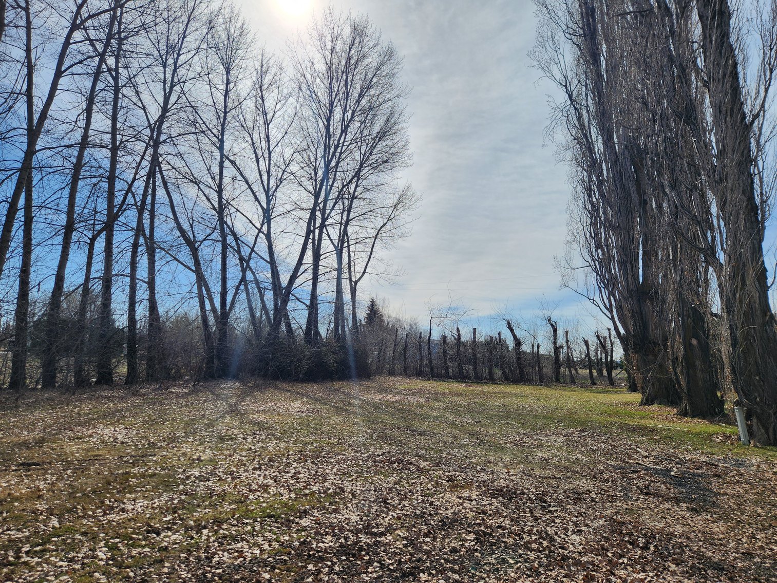 Image for 8831 & 8851 Naches Heights Rd., Cowiche, WA 98923 (Yakima County)