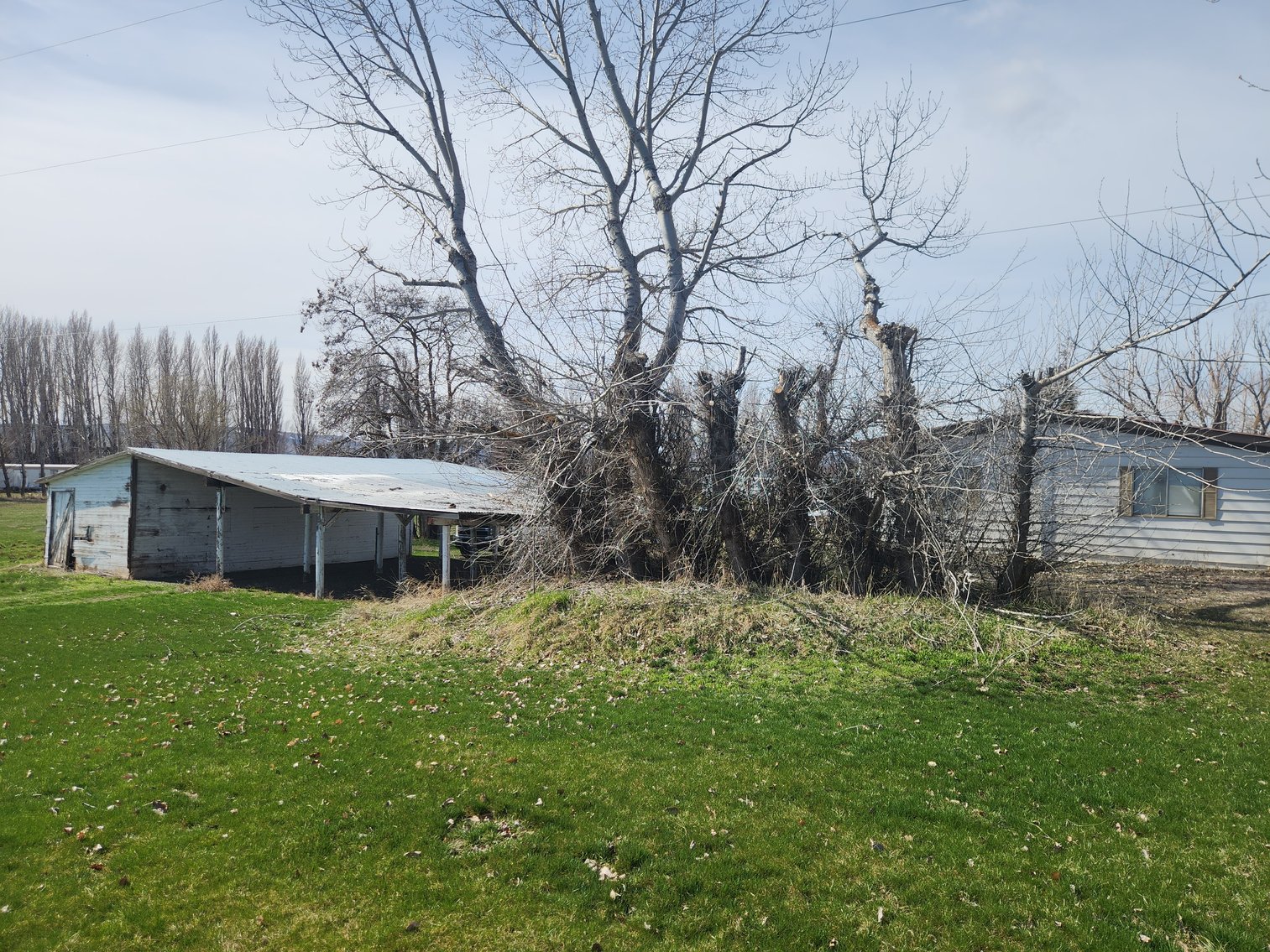 Image for 8943 Naches Heights Rd., Cowiche, WA 98923 (Yakima County)