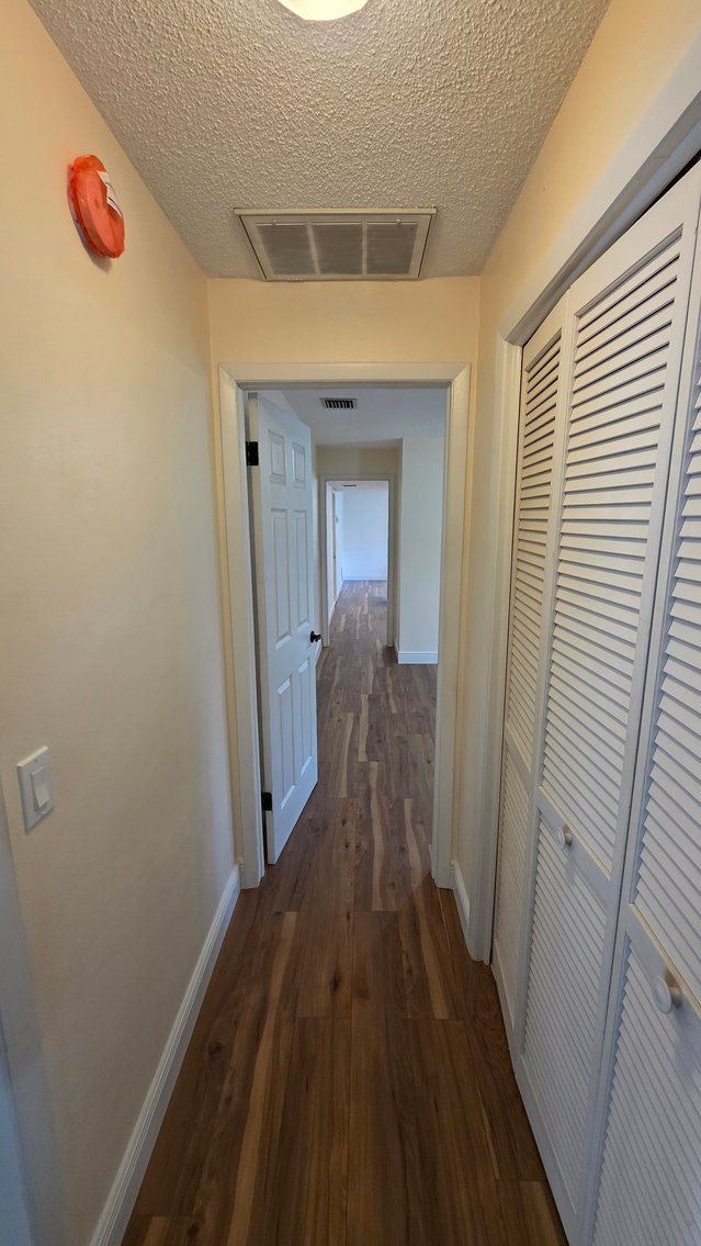 Image for 2890 ARMADILLO DR, PALM HARBOR, FL 34683