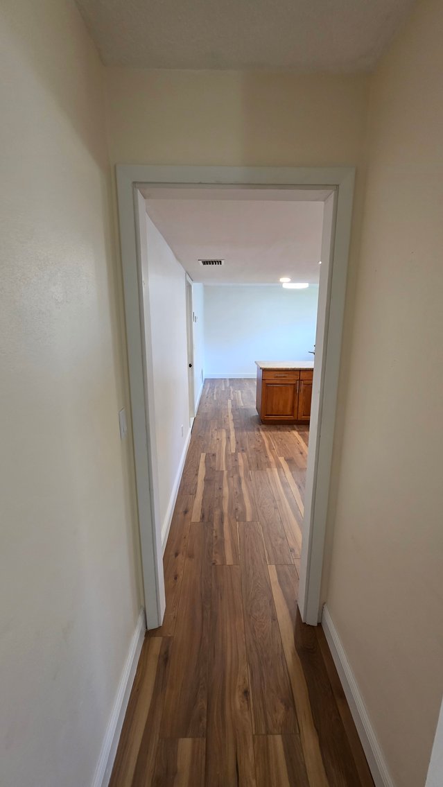 Image for 2890 ARMADILLO DR, PALM HARBOR, FL 34683