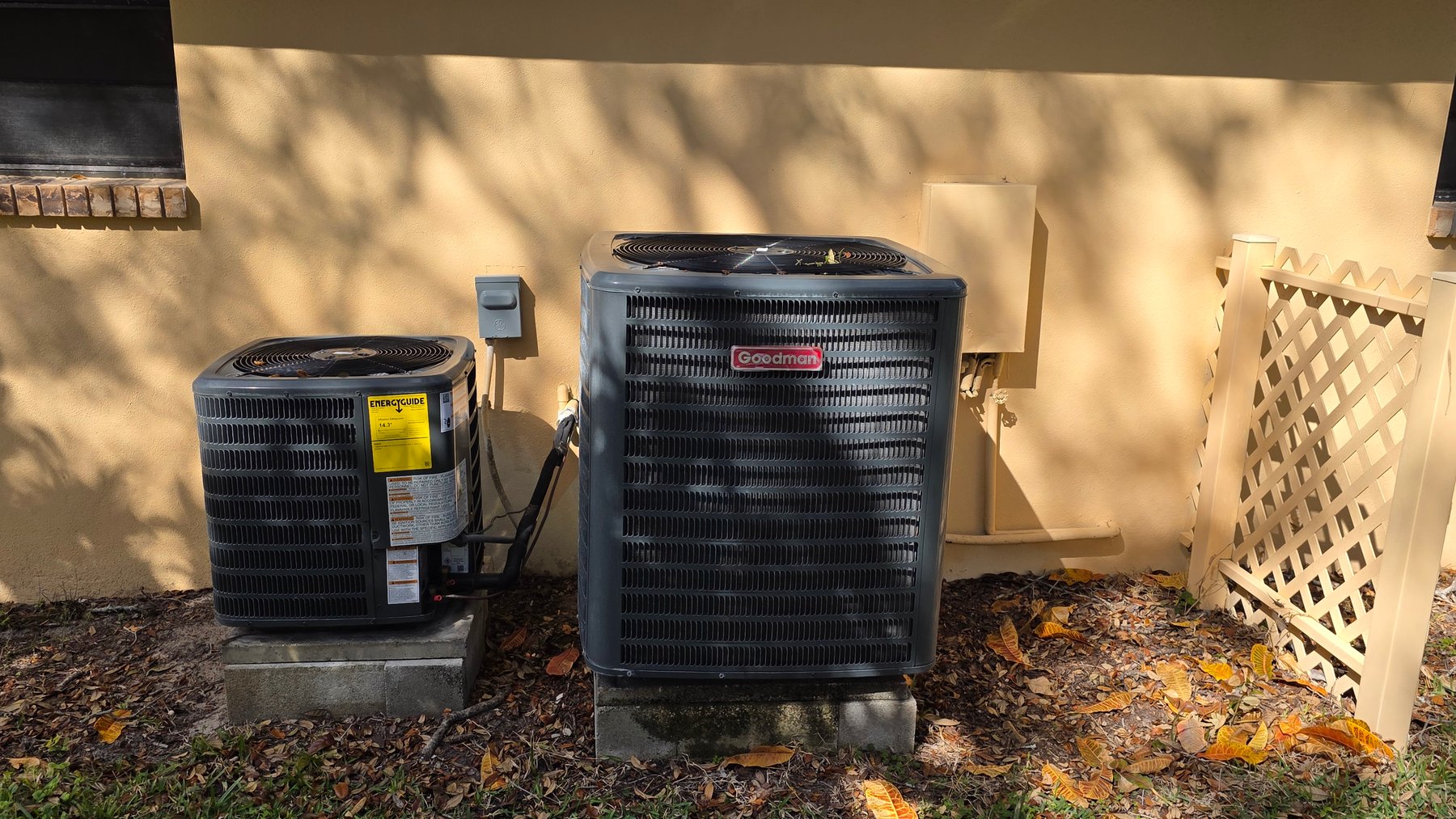 Image for 2890 ARMADILLO DR, PALM HARBOR, FL 34683