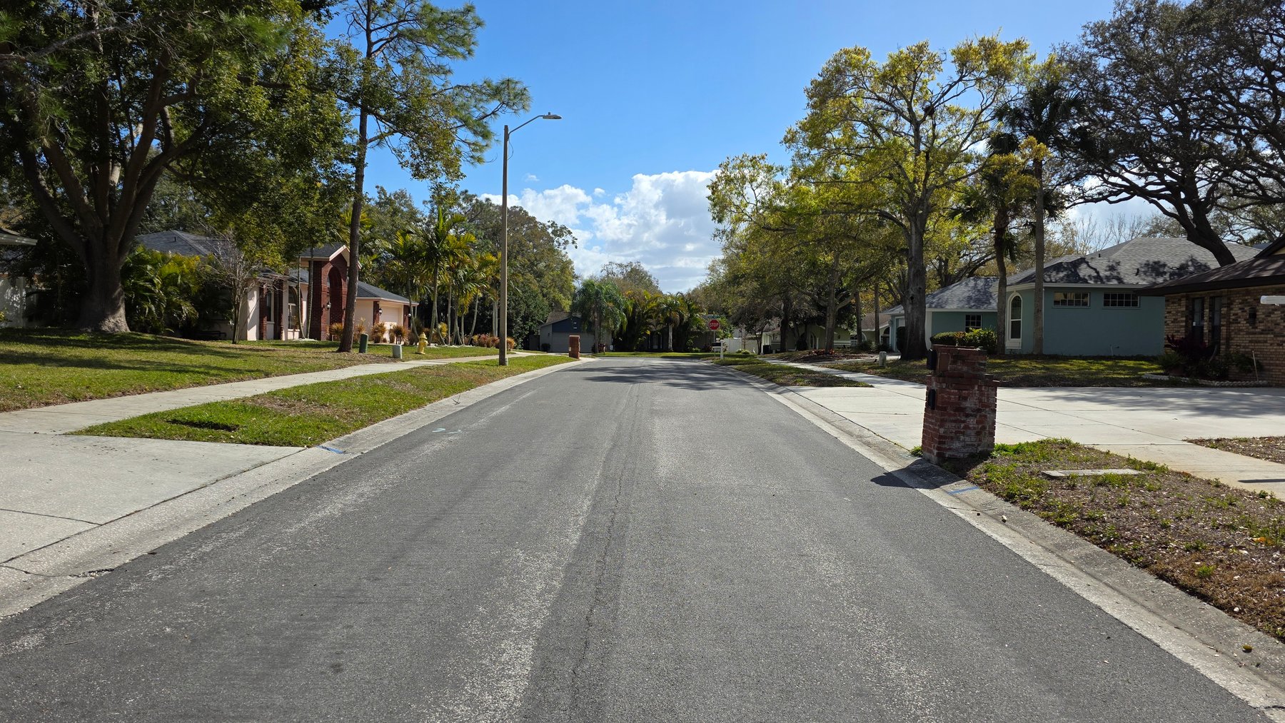 Image for 2890 ARMADILLO DR, PALM HARBOR, FL 34683