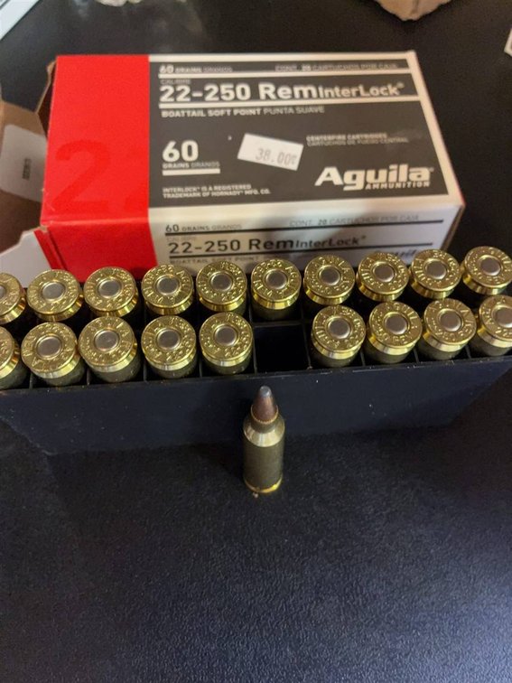Aguila 22-250 Rem InterLock 60gr Ammo, 20ct