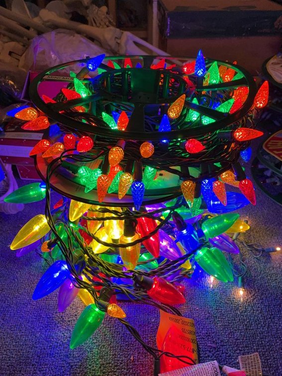 Holiday Living 100-Light LED Christmas Lights