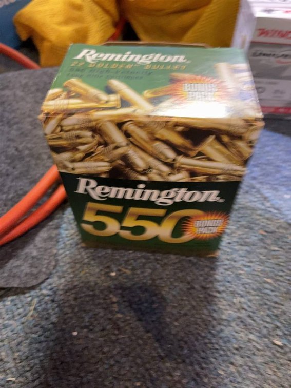 Remington .22LR 550 Rounds Hollow Point Ammo