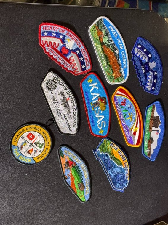10 Boy Scouts Council Patches