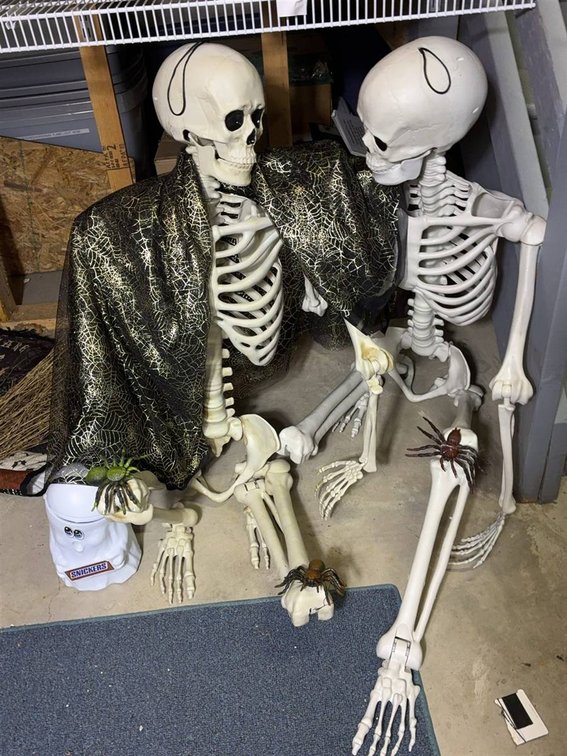 6 Foot Tall Poseable Skeleton Figures