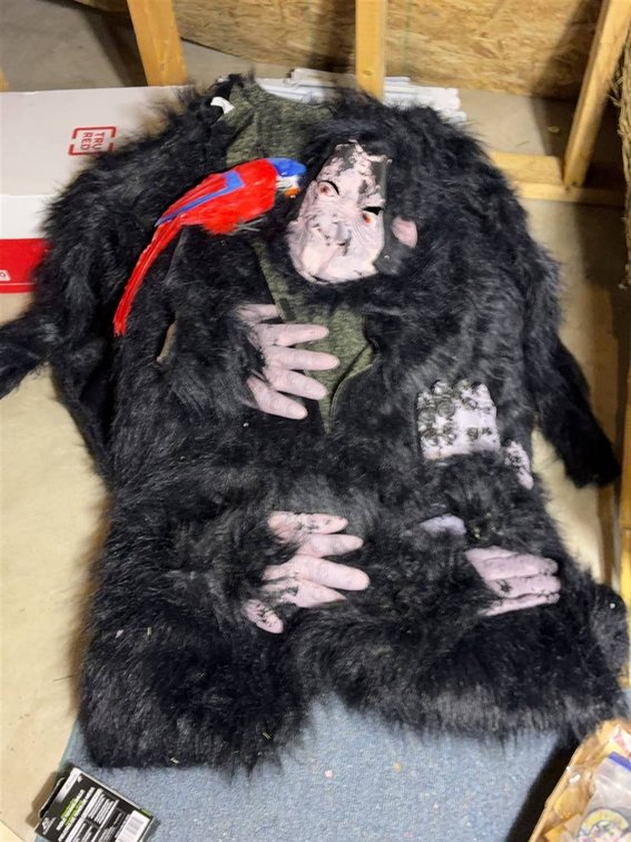 Black Gorilla Costume with Parrot Accessory