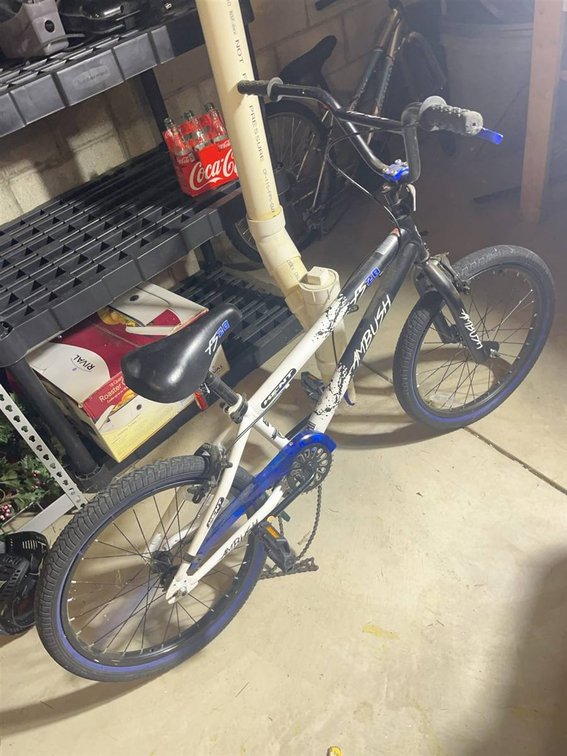 Kent Ambush FS20 20-Inch Boys Bicycle