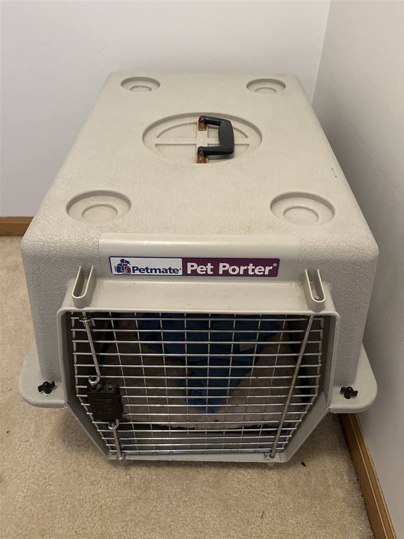 Petmate Pet Porter Plastic Pet Carrier