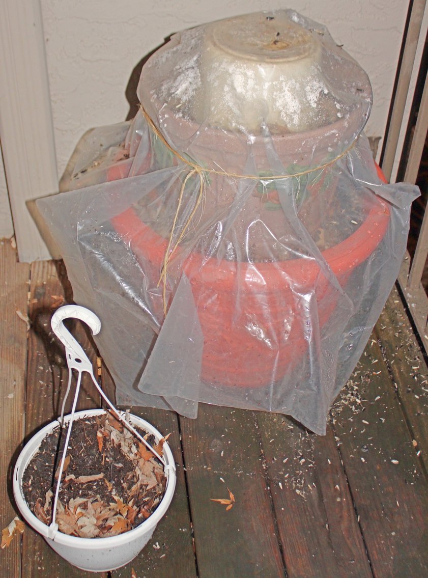 Image for NEW DATE! LIVING ESTATE AUCTION