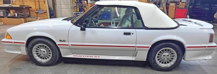 Image for FANTASTIC LIVING ESTATE AUCTION