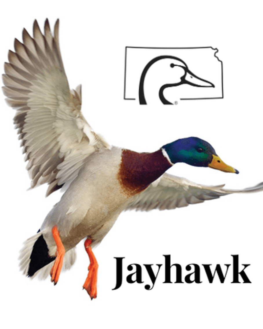 Image for Jayhawk Chapter Ducks Unlimited Annual Banquet