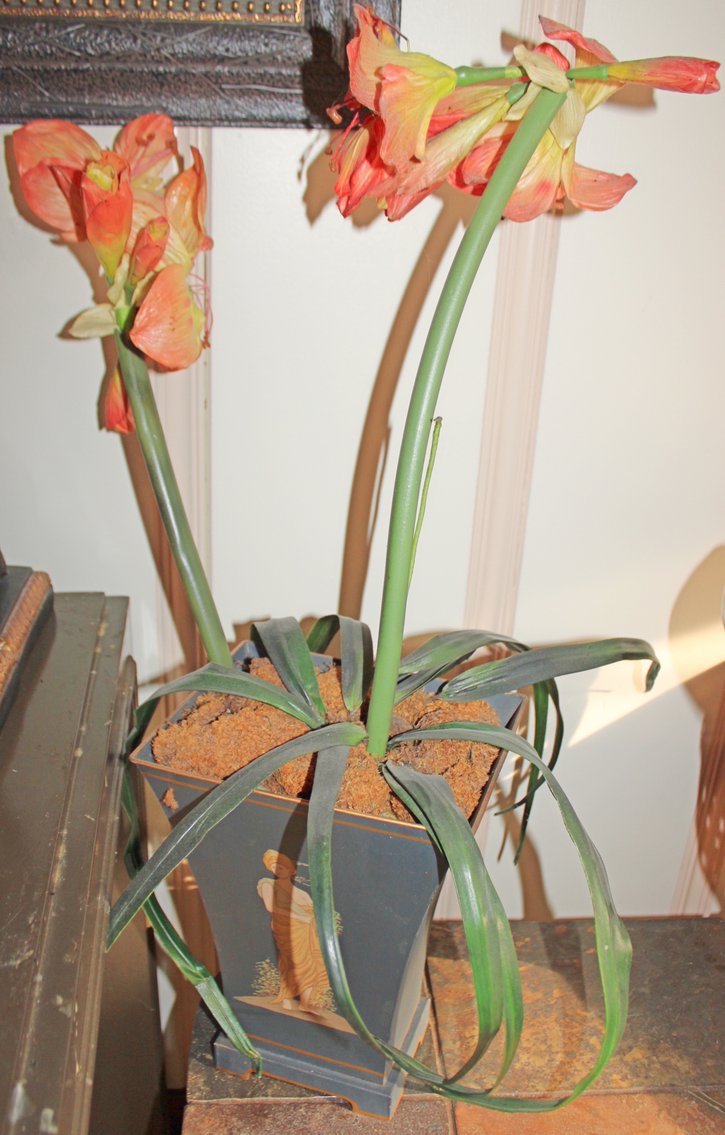 Image for ECLECTIC ESTATE AUCTION