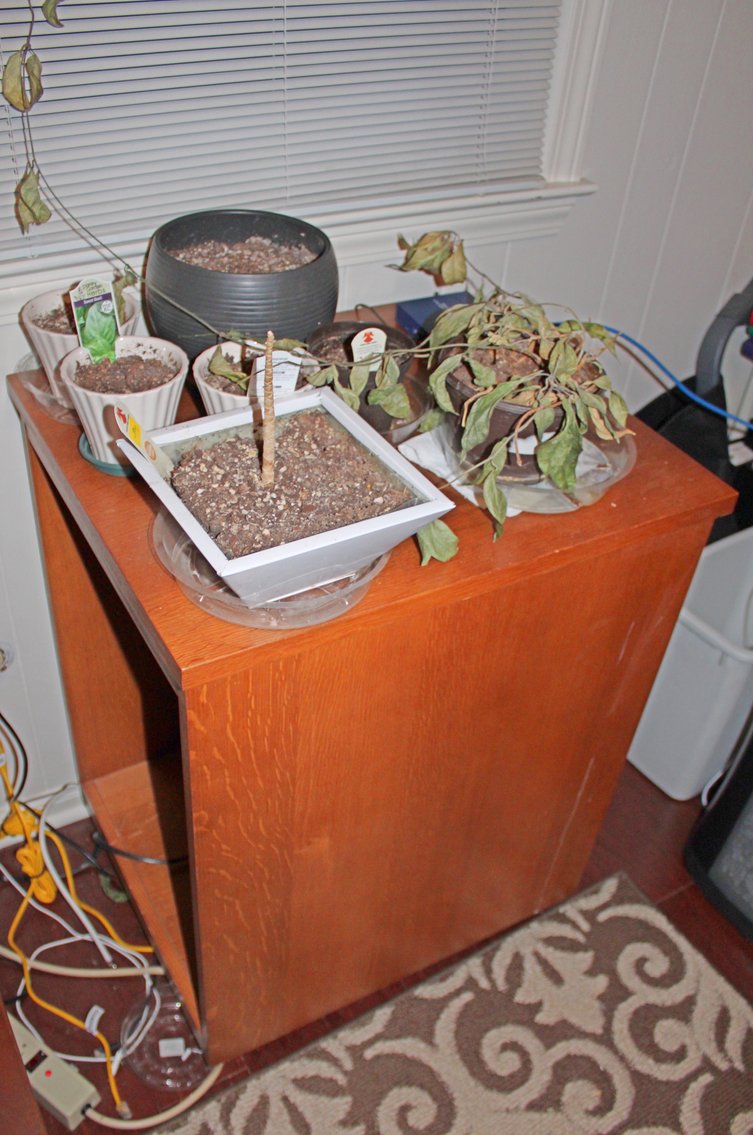 Image for UPSCALE LIVING ESTATE AUCTION