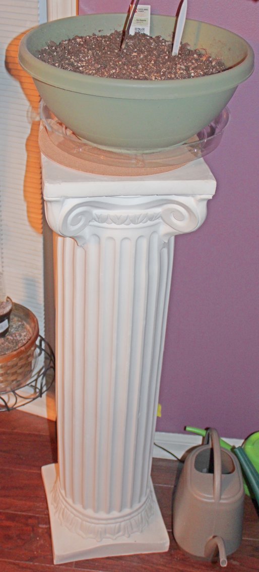 Image for UPSCALE LIVING ESTATE AUCTION