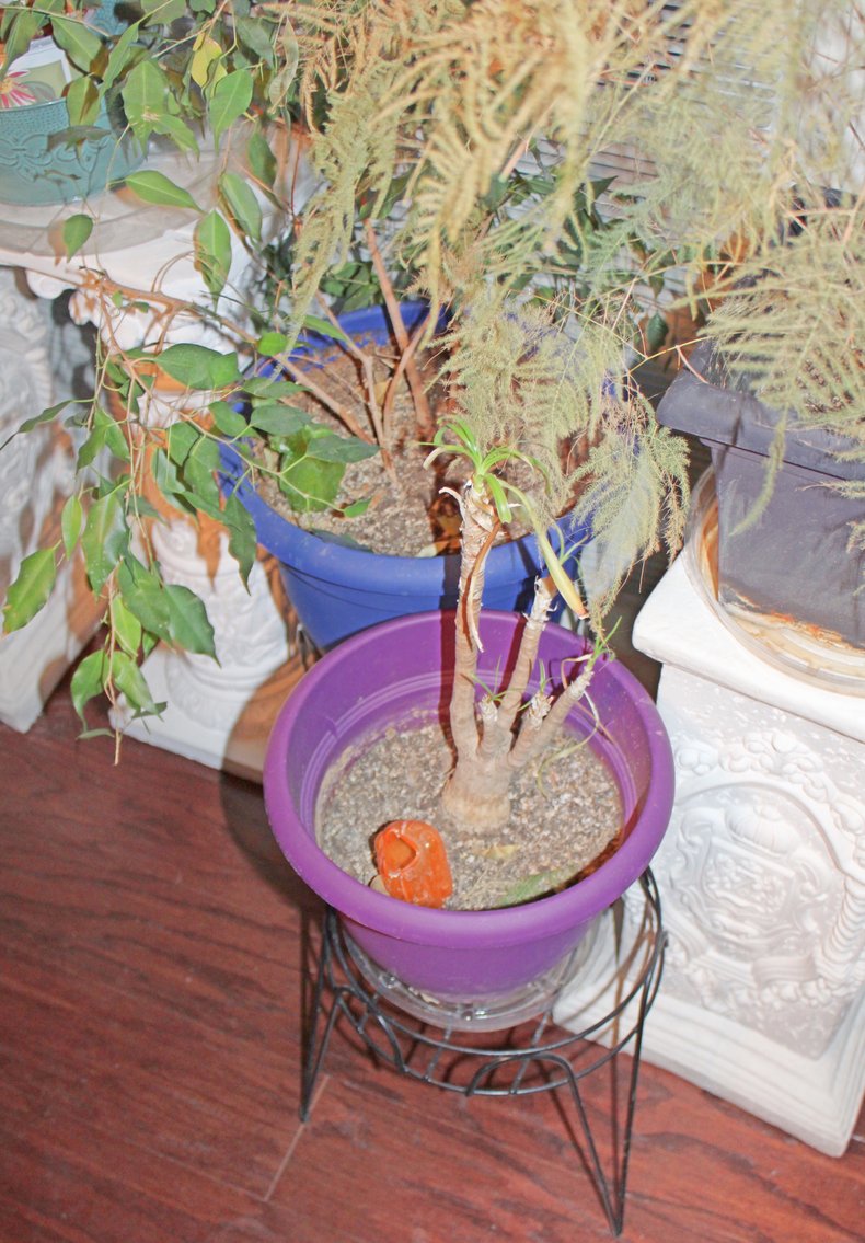 Image for UPSCALE LIVING ESTATE AUCTION