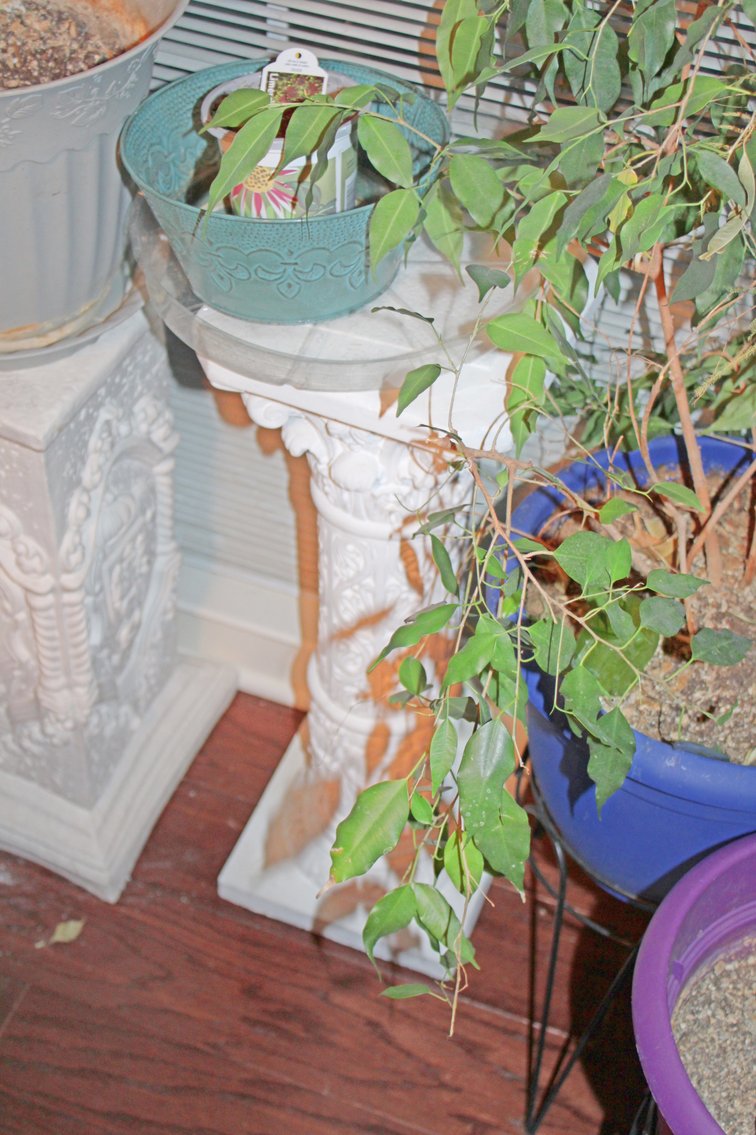 Image for UPSCALE LIVING ESTATE AUCTION