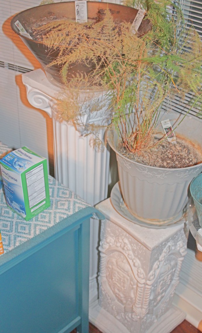 Image for UPSCALE LIVING ESTATE AUCTION