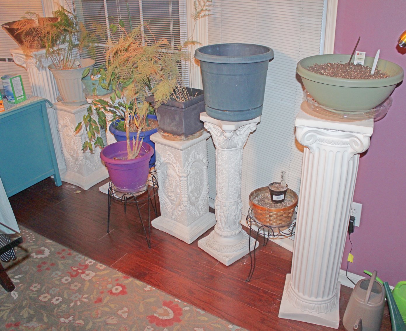 Image for UPSCALE LIVING ESTATE AUCTION