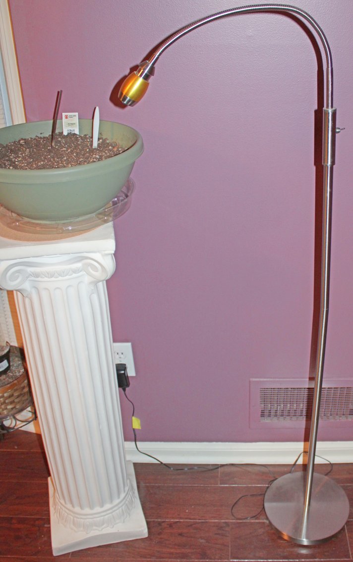 Image for UPSCALE LIVING ESTATE AUCTION