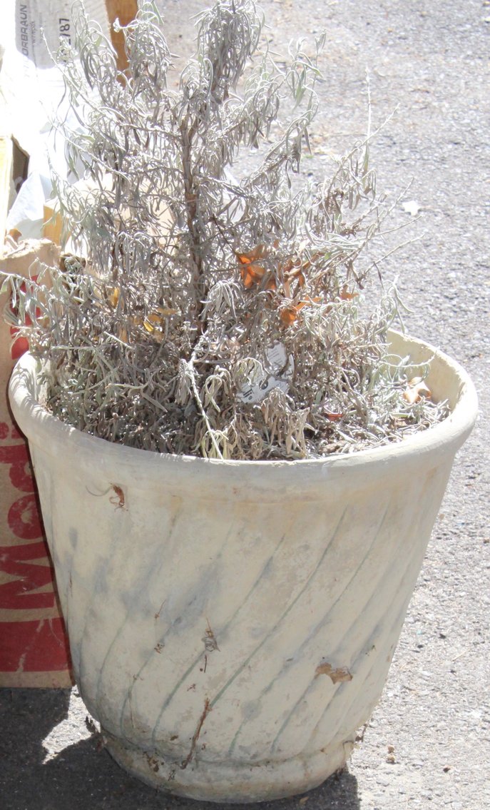 Image for EMERGENCY LAST MINUTE LIVING ESTATE AUCTION