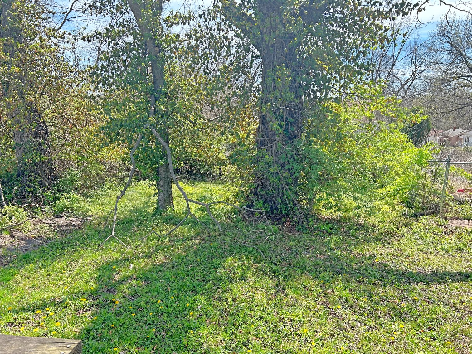 Image for ABSOLUTE ONLINE ONLY REAL ESTATE AUCTION